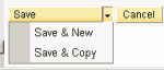 Save and New Save and Copy Folder Icon